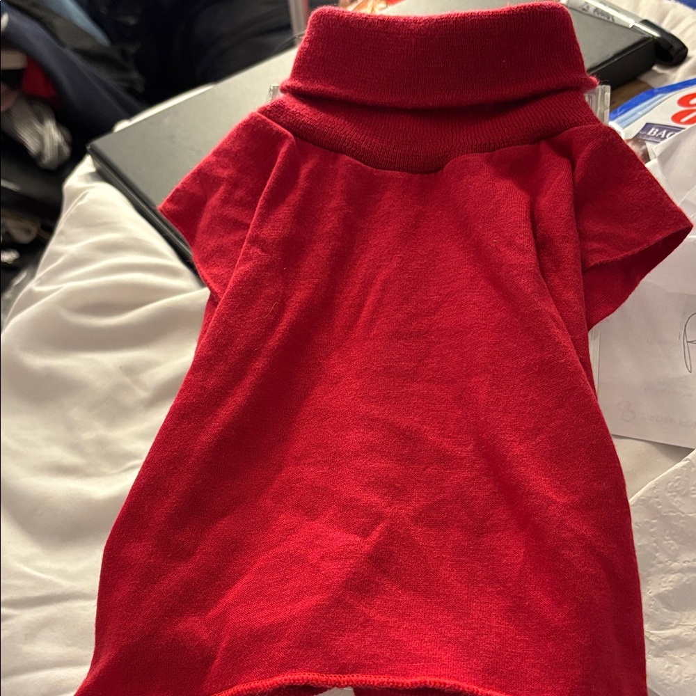 FINAL MARKDOWN Red Turtleneck Dicky